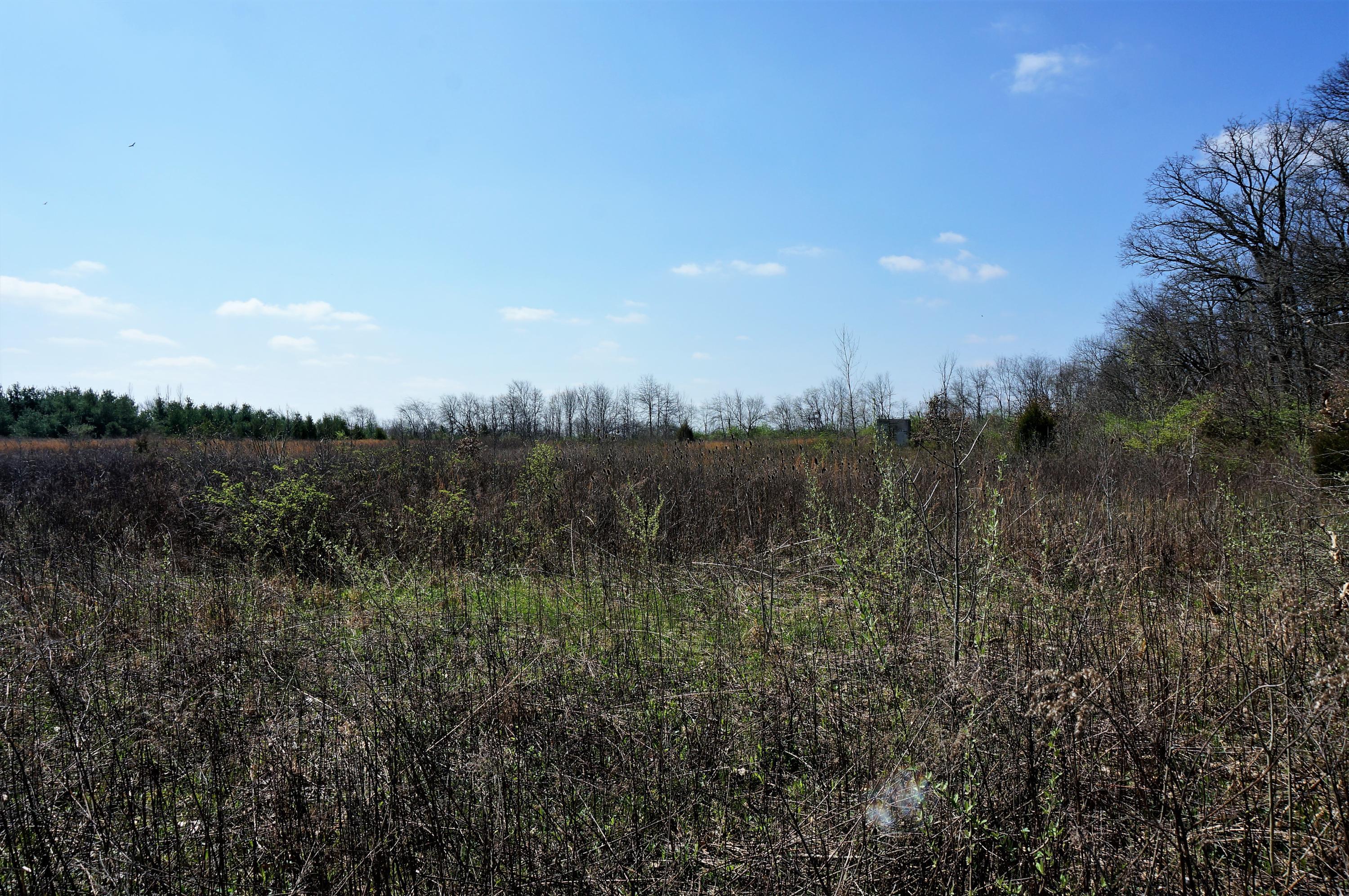 0 Mouser Road New Holland, OH 43145 - Photo 4 of 8