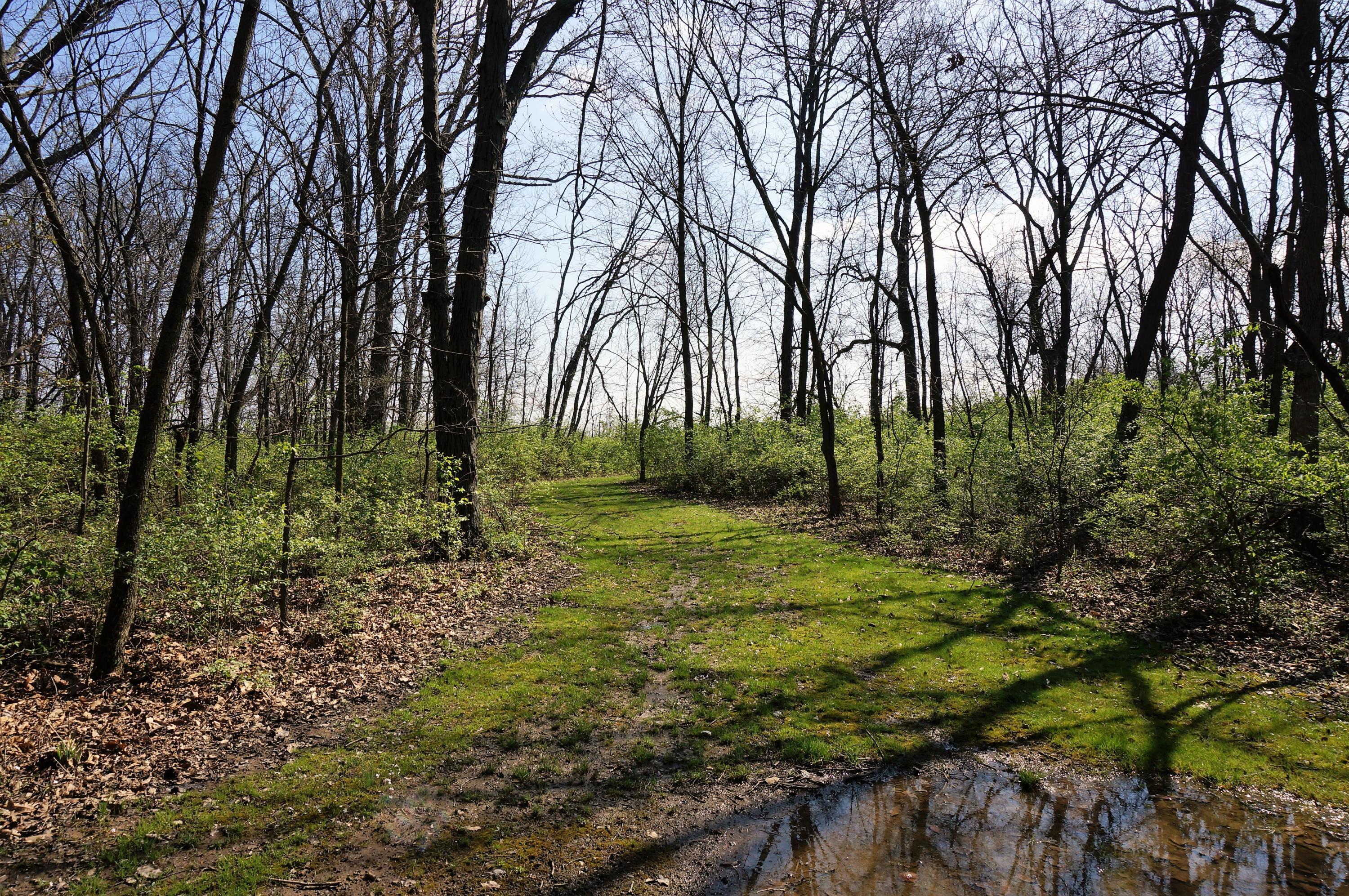 0 Mouser Road New Holland, OH 43145 - Photo 7 of 8