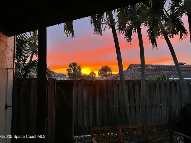 a view of a backyard
