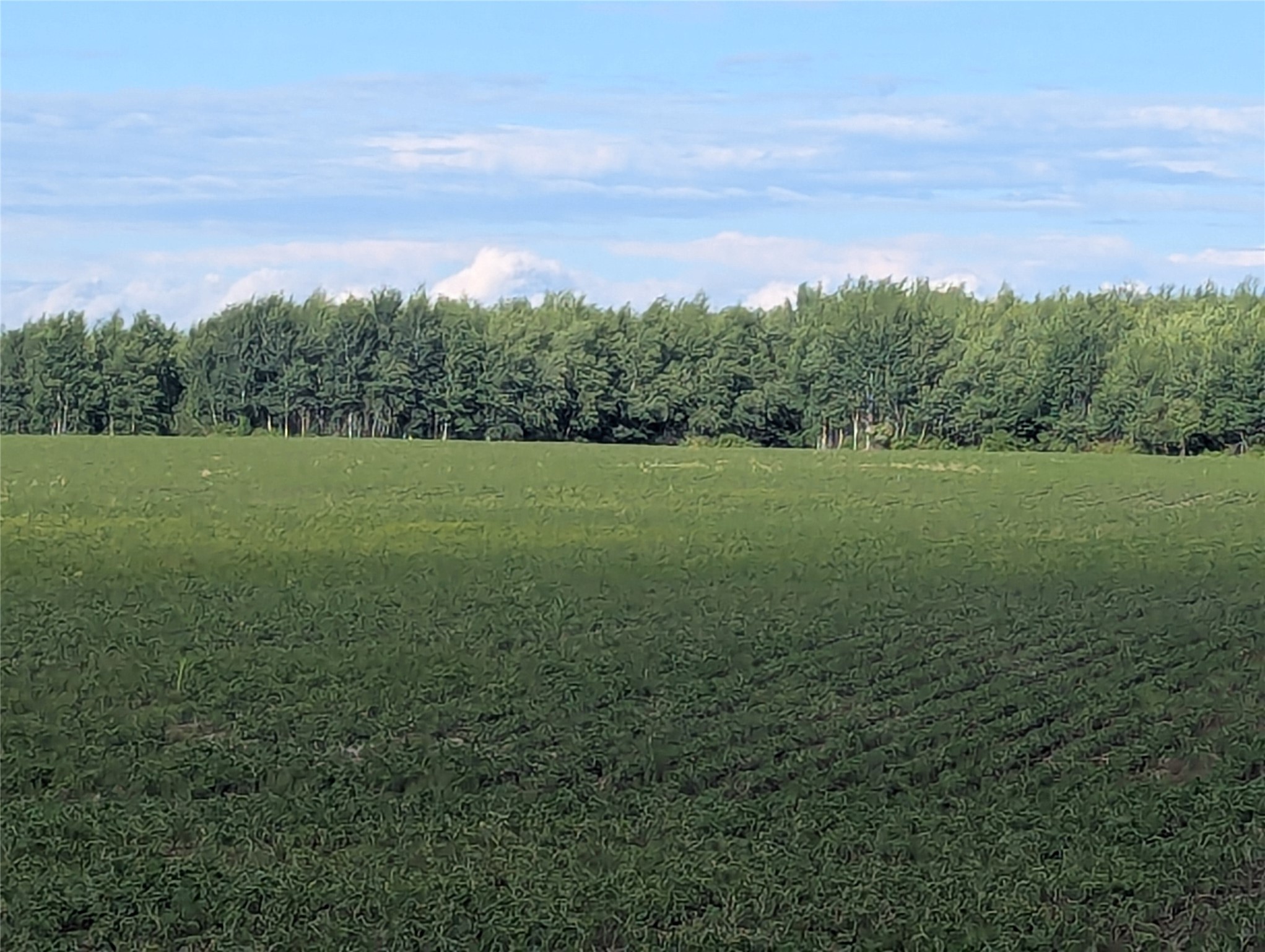 N4180 Wilderness Road Glen Flora, WI 54526 - Photo 12 of 29