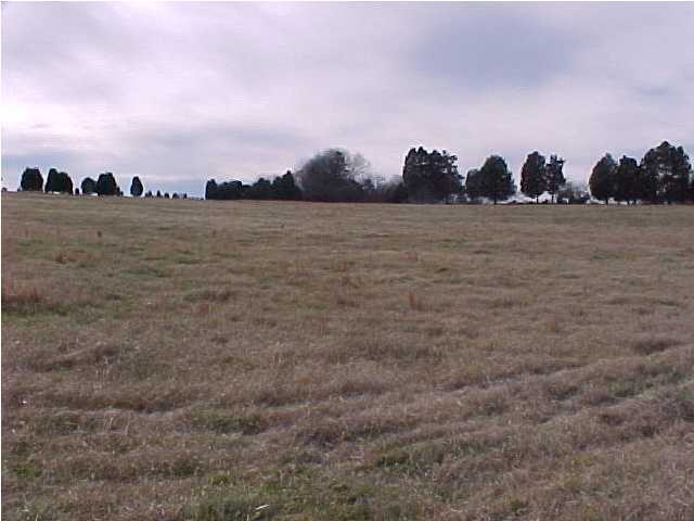 Primary Photo