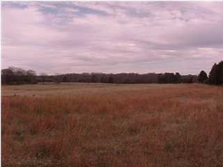 0 Farming Rock Road Chickamauga, GA 30707 - Photo 2 of 2 Additional Photo