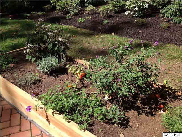 2803 Huntington Road Charlottesville, VA 22901 - Photo 27 of 42 a view of a garden with plants