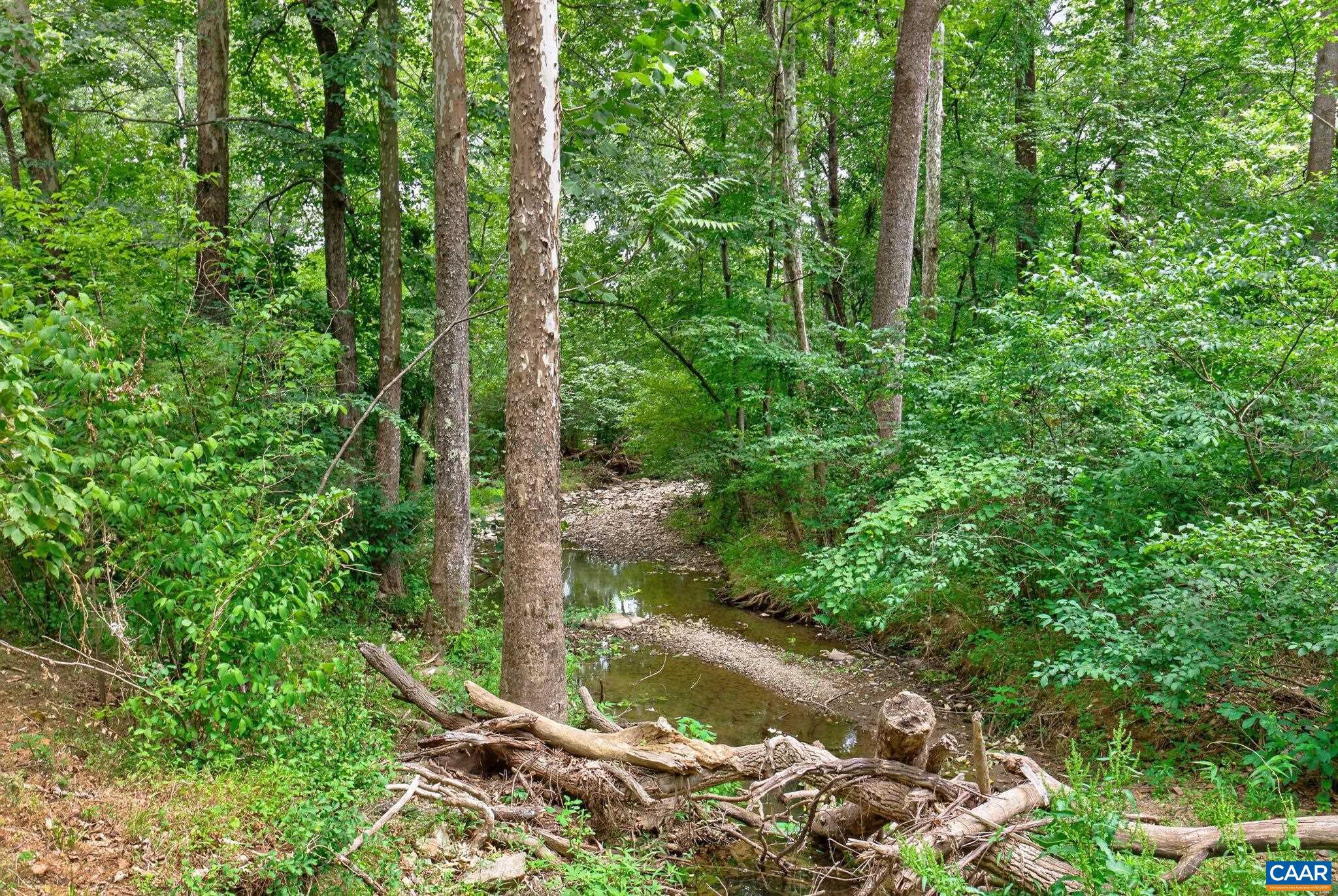 6285 Jarmans Gap Road Crozet, VA 22932 - Photo 48 of 65