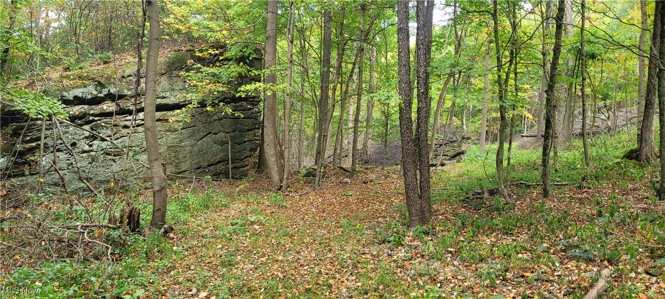 343 County Road Coshocton, OH 43812 - Photo 35 of 49 Gallery Image 35