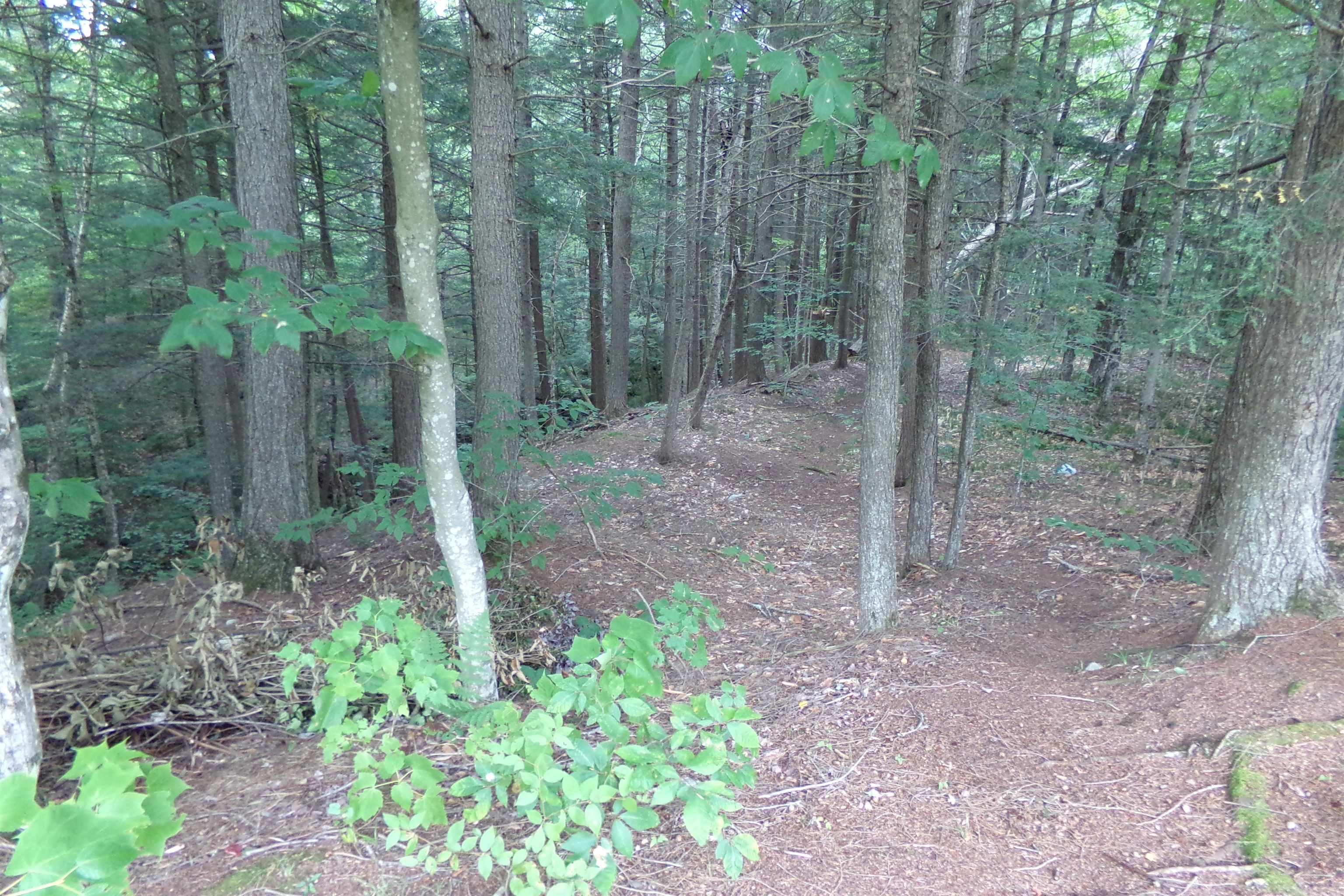 16 Keenan Pond Road Topsham, VT 05076 - Photo 43 of 49 Gallery Image 43