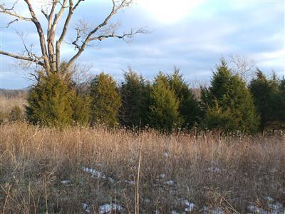 18 Crooked Creek Road Lexington, KY 40508 - Photo 20 of 42 Photo 20