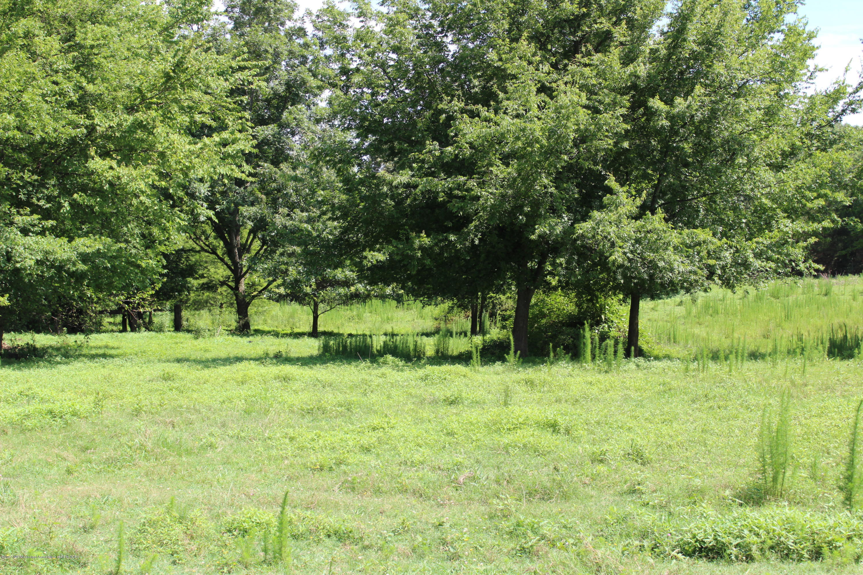 7328 Vaiden Road Hernando, MS 38632 - Photo 2 of 8 IMG_0204