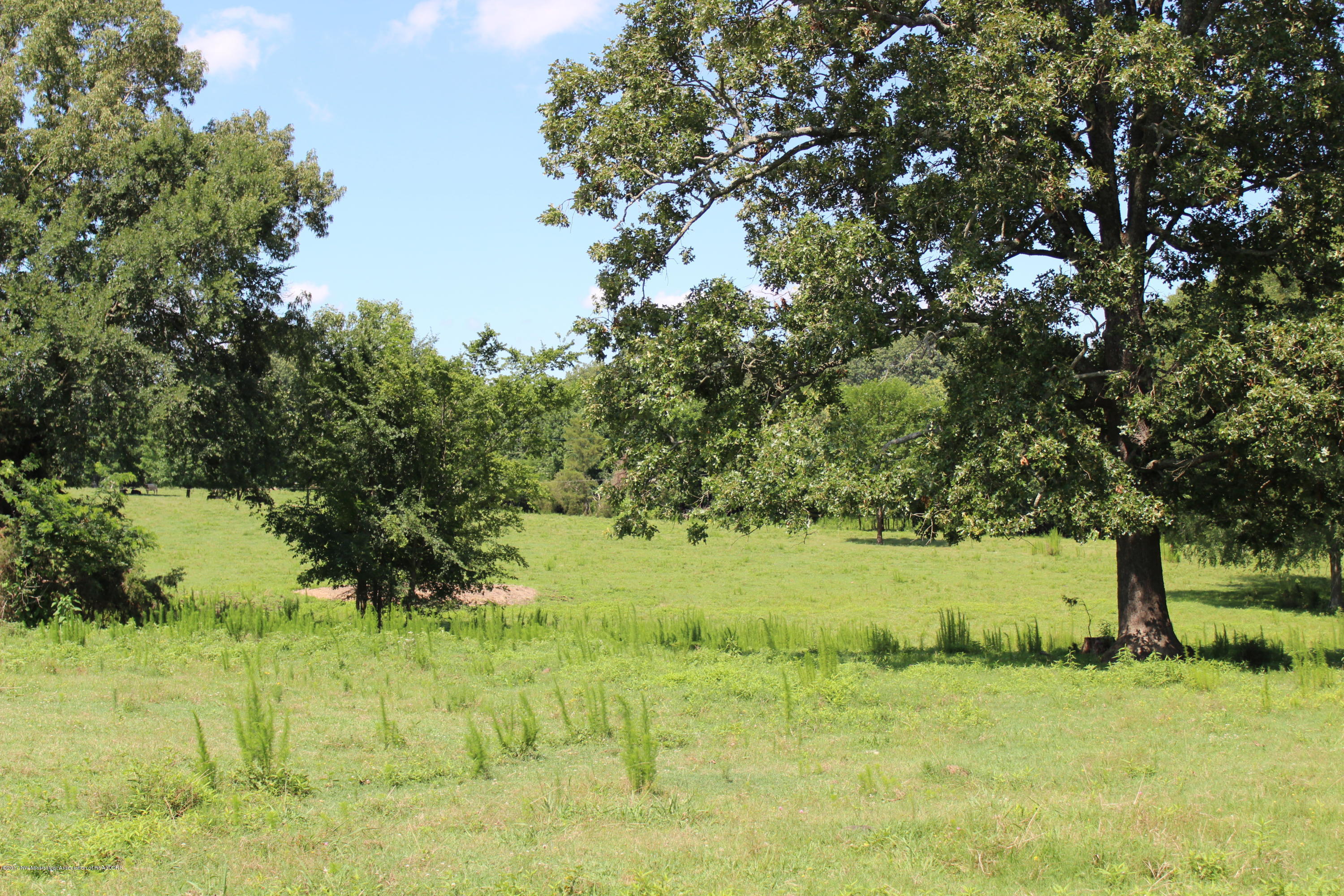 7328 Vaiden Road Hernando, MS 38632 - Photo 3 of 8 IMG_0210