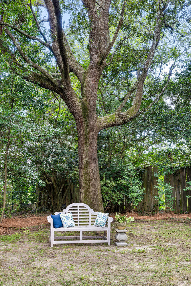 9 Guerard Road Charleston, SC 29407 - Photo 62 of 75 Incredible Trees and Areas for Pool