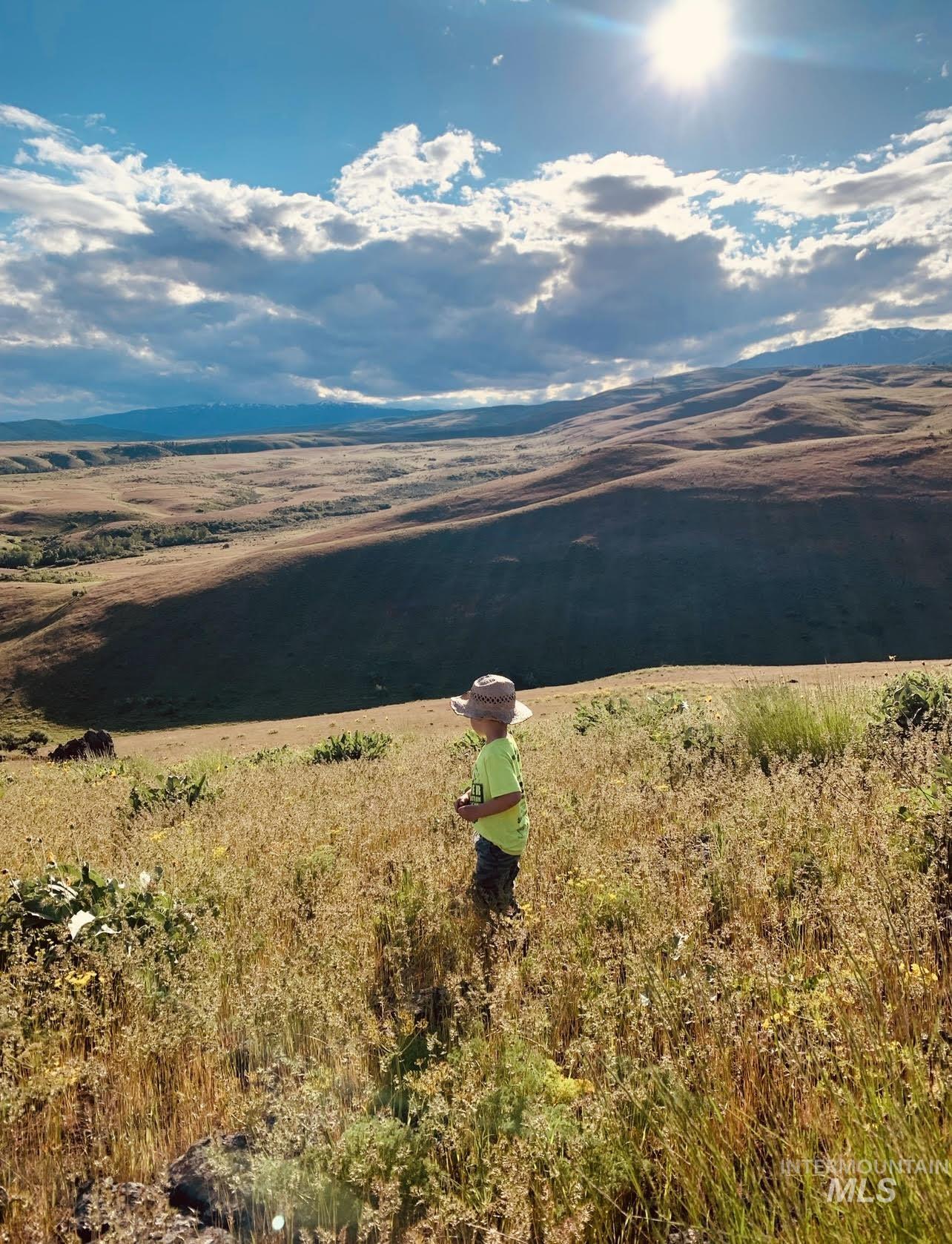 1720 Johnson Creek Road Council, ID 83612 - Photo 4 of 18