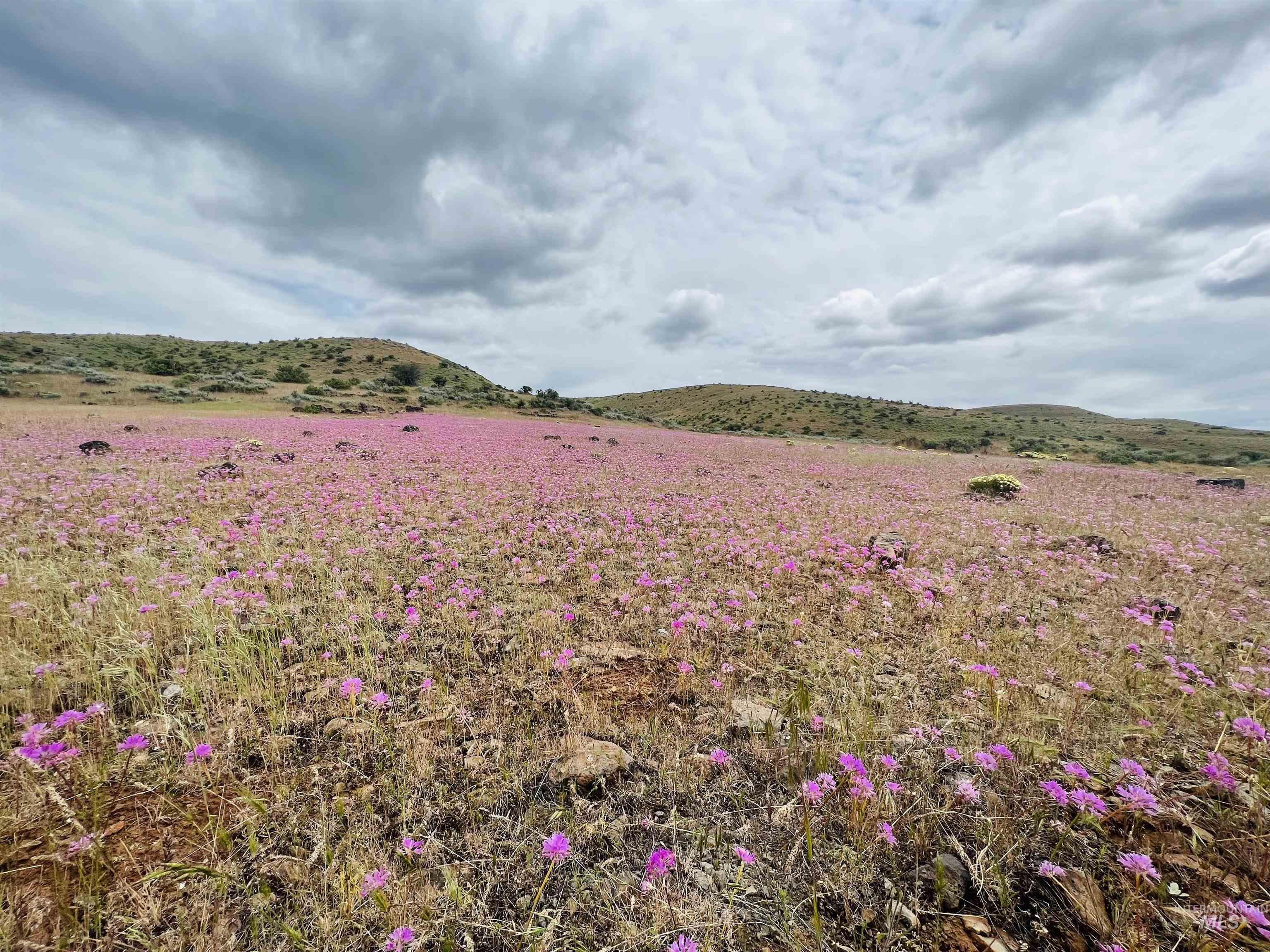 1720 Johnson Creek Road Council, ID 83612 - Photo 6 of 18