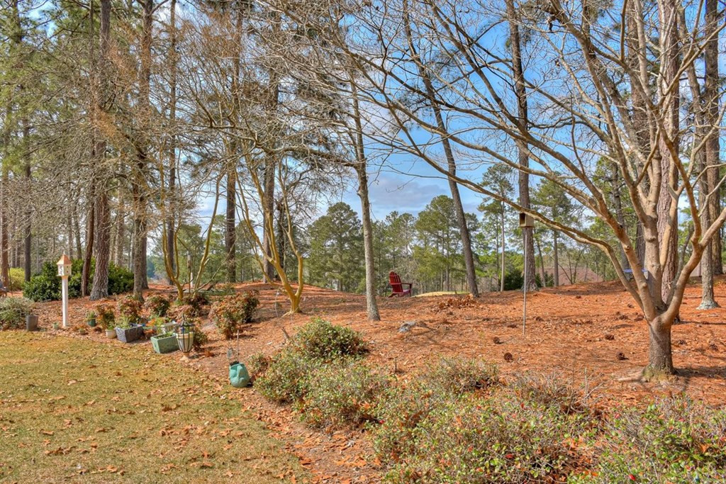 121 Pine Needle Road Aiken, SC 29803 - Photo 56 of 66