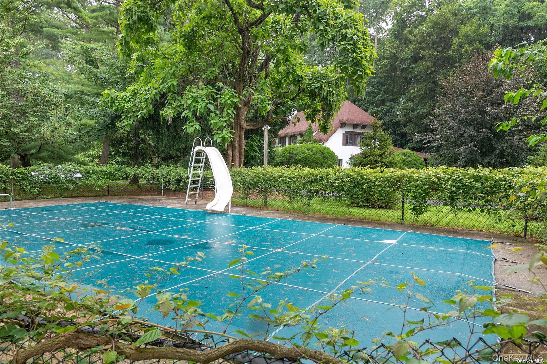 10 Plum Beach Point Sands Point, NY 11050 - Photo 15 of 16 Pool