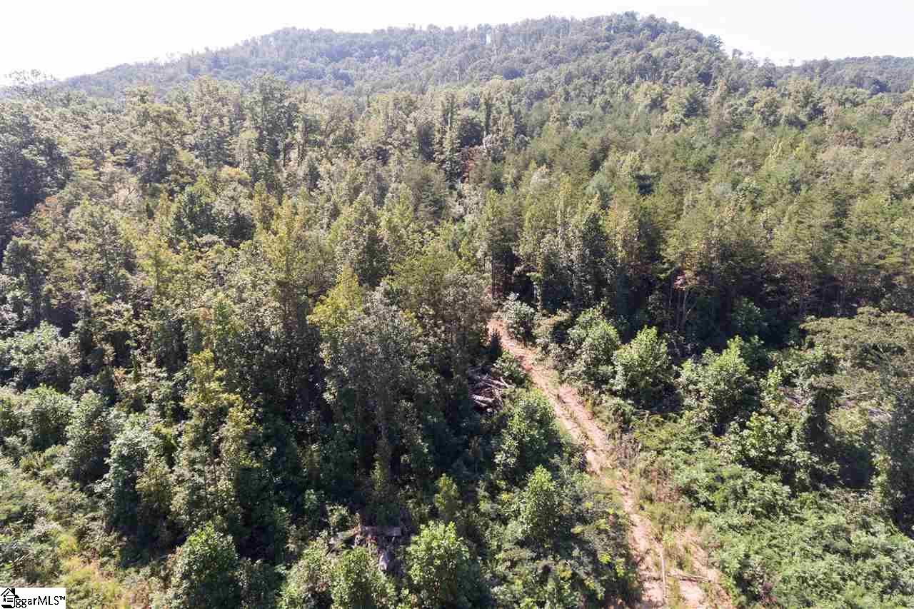0 Garren Road Travelers Rest, SC 29690 - Photo 2 of 4 Trail to Chestnut Mt