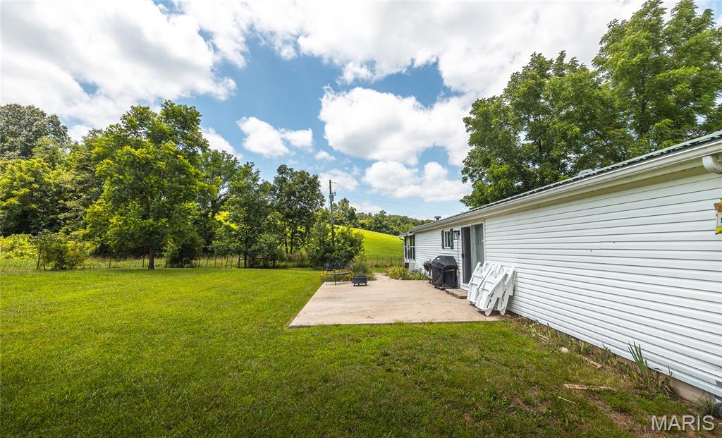 171 Czar Tower Road Steelville, MO 65565 - Photo 30 of 54
