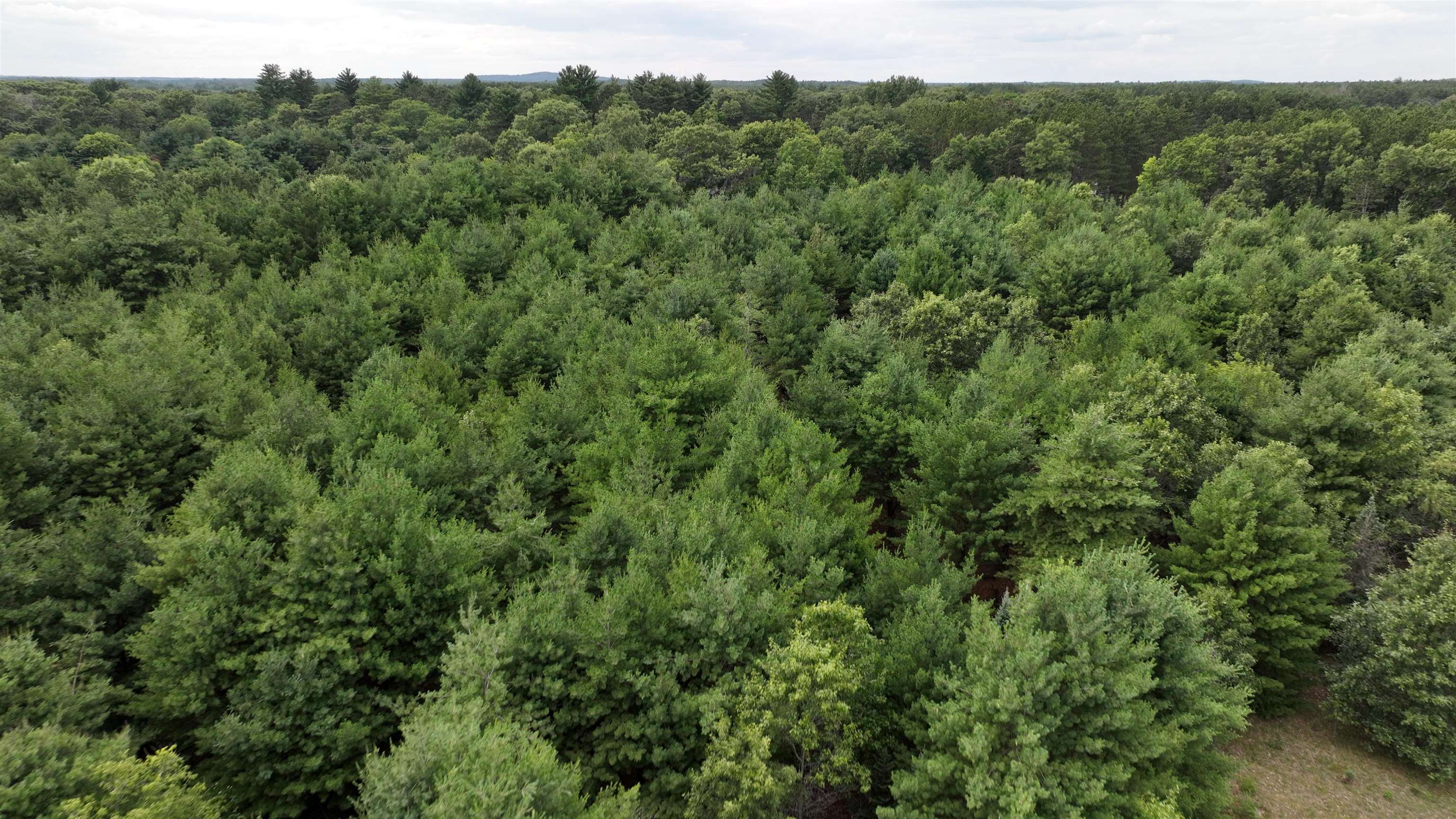 Lot 22 Sandy Pines Redgranite, WI 54970 - Photo 3 of 6 Gallery Image 3