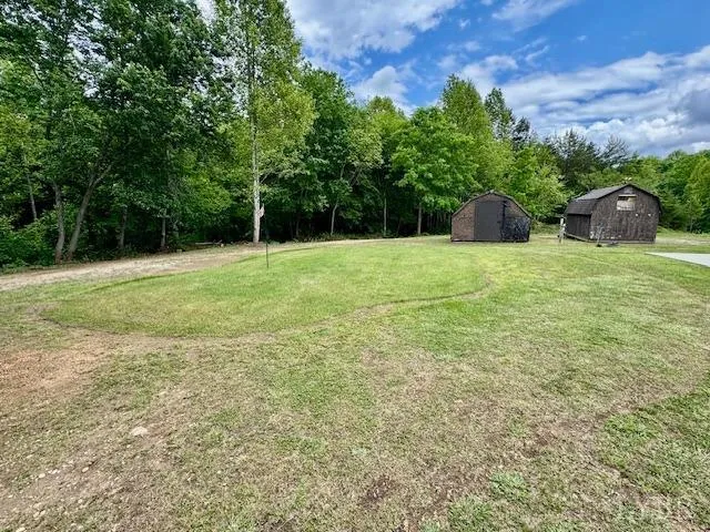 a view of a lush green forest