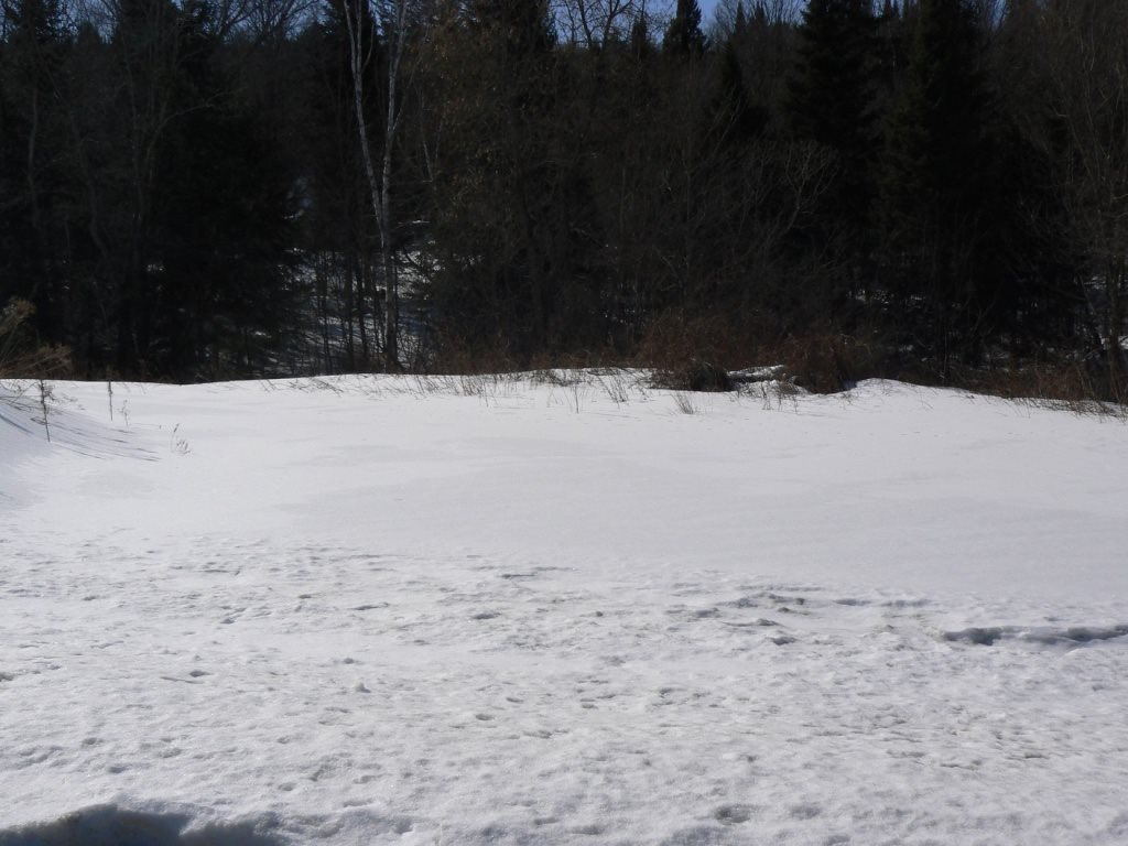 97 Spur Road Stratford, NH 03590 - Photo 6 of 40