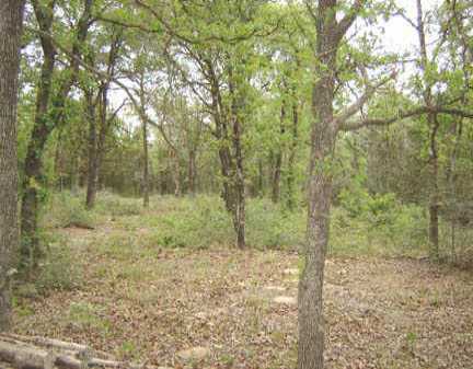 0 Old Sayers Elgin, TX 78621 - Photo 1 of 1 Gallery Image 1