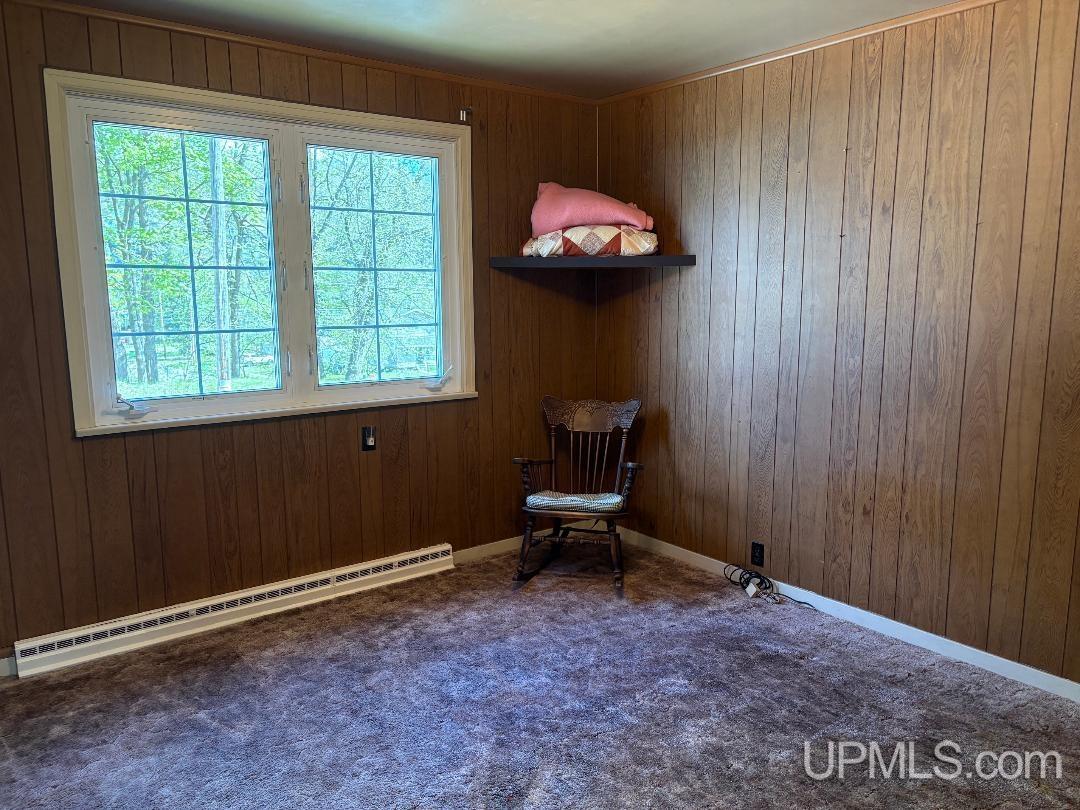 225 Maple Street Niagara, WI 54151 - Photo 9 of 27