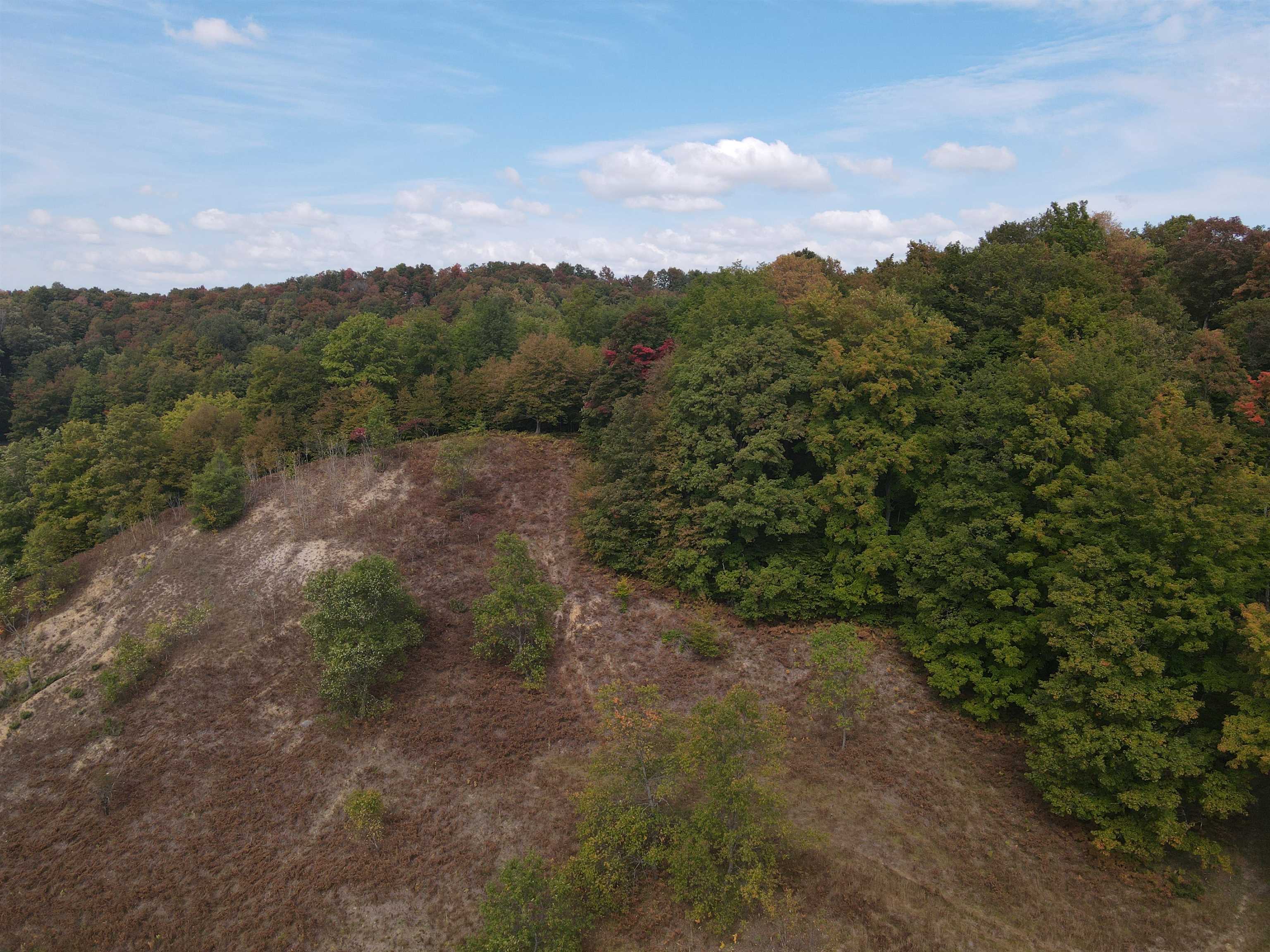 90 A Ridgeview Drive Kalkaska, MI 49646 - Photo 12 of 75