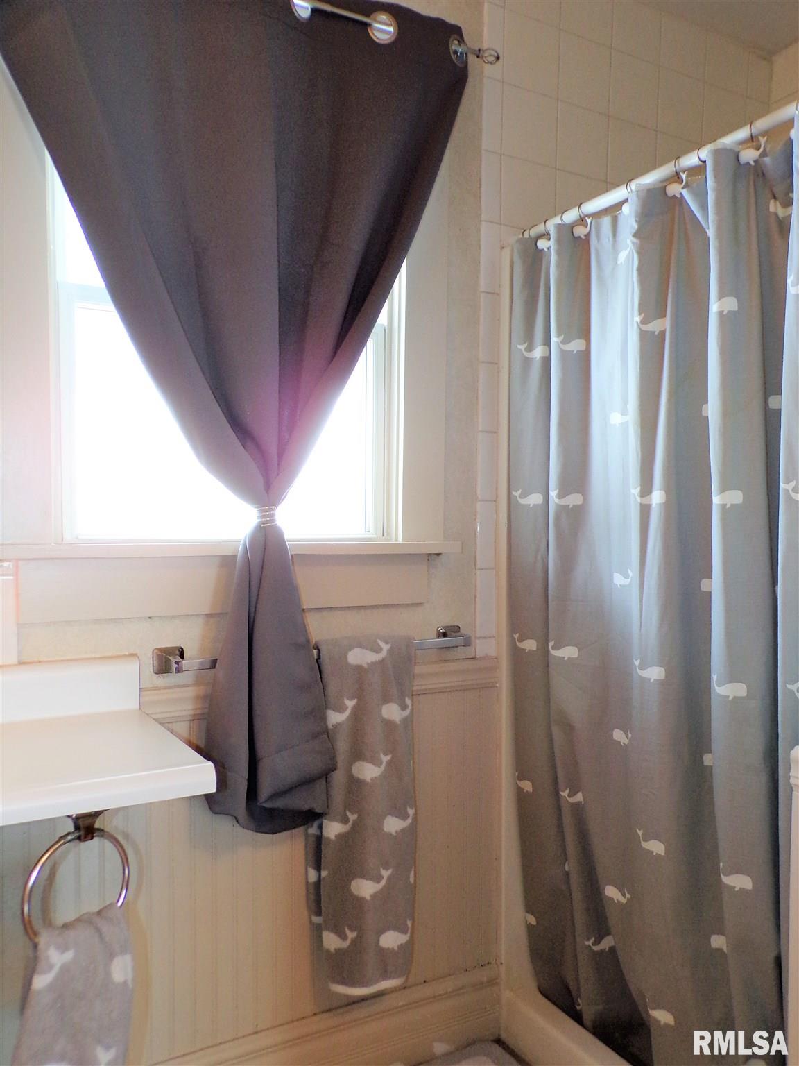 113 West B Street Alpha, IL 61413 - Photo 19 of 35 Gallery Image 19