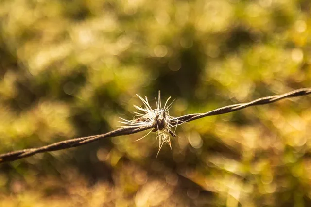 $189,000 | 8 West Ryan Road, Grain Valley, MO 64029