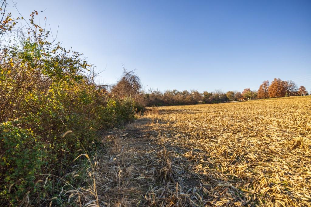 8 West Ryan Road Grain Valley, MO 64029 - Photo 20 of 22