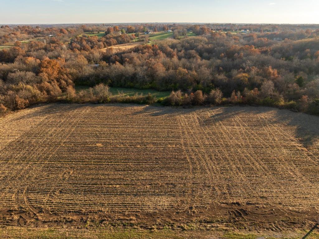 8 West Ryan Road Grain Valley, MO 64029 - Photo 5 of 22