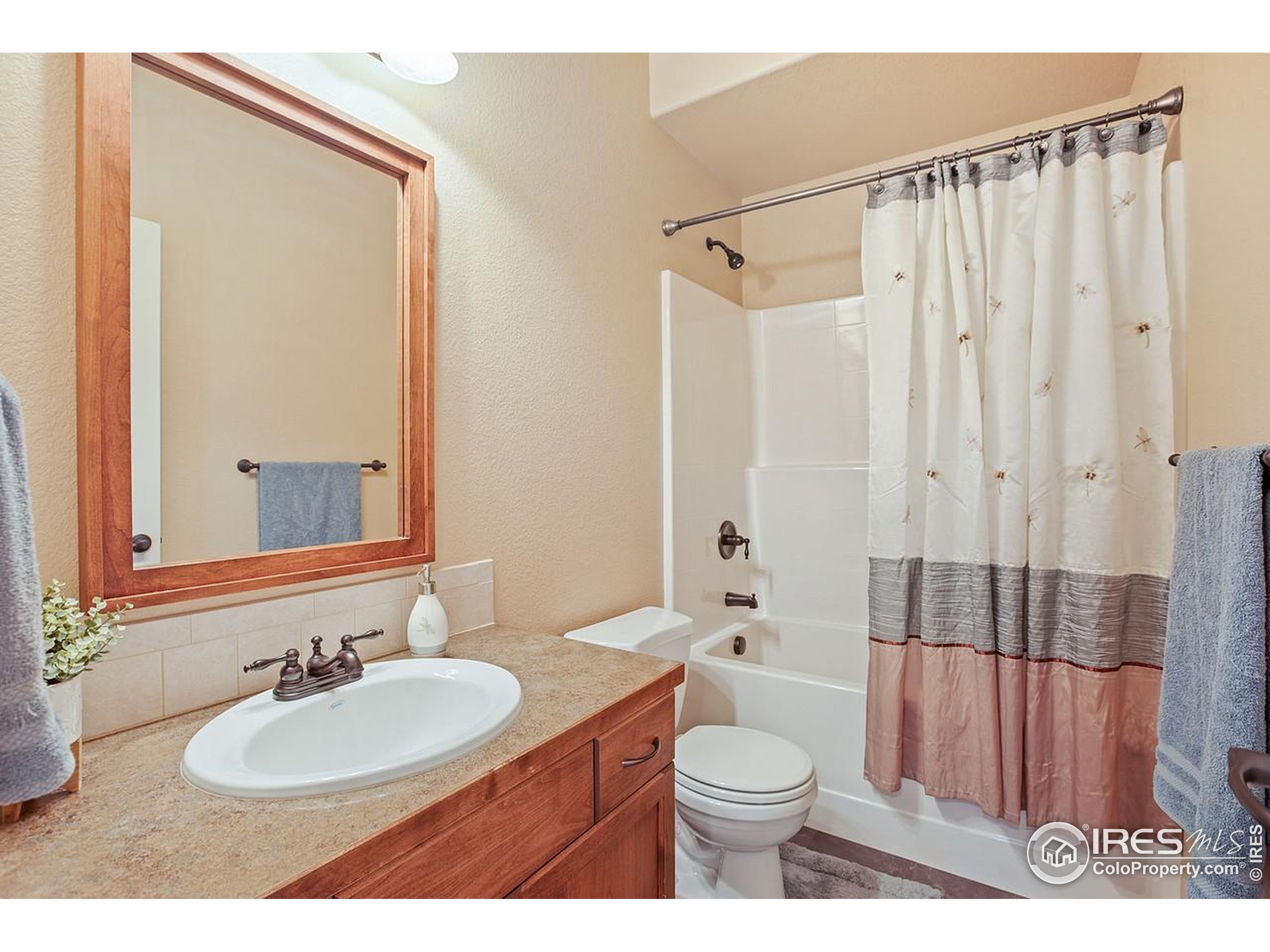 36929 County Road 41 Eaton, CO 80615 - Photo 17 of 38