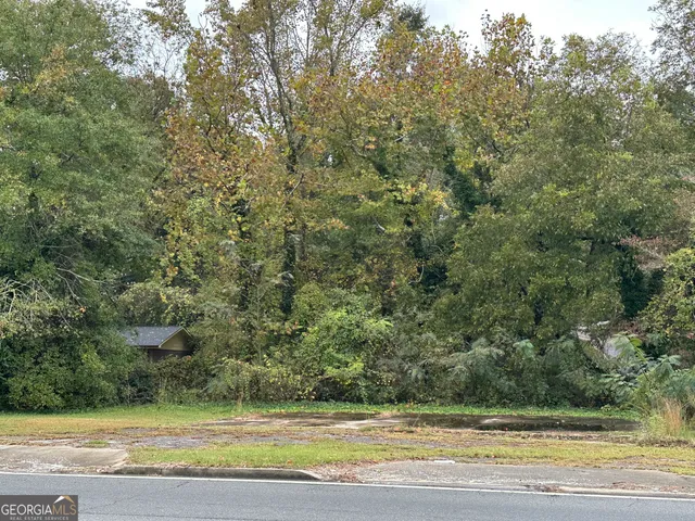 a view of a field and trees