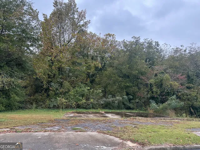 view of a field with trees in background