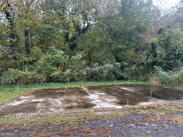 a view of a yard with a trees