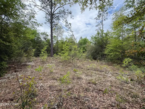 $59,000 | 19678 Walsh Road, Fountain, FL 32438