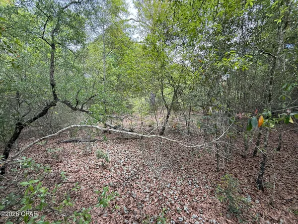 $59,000 | 19678 Walsh Road, Fountain, FL 32438