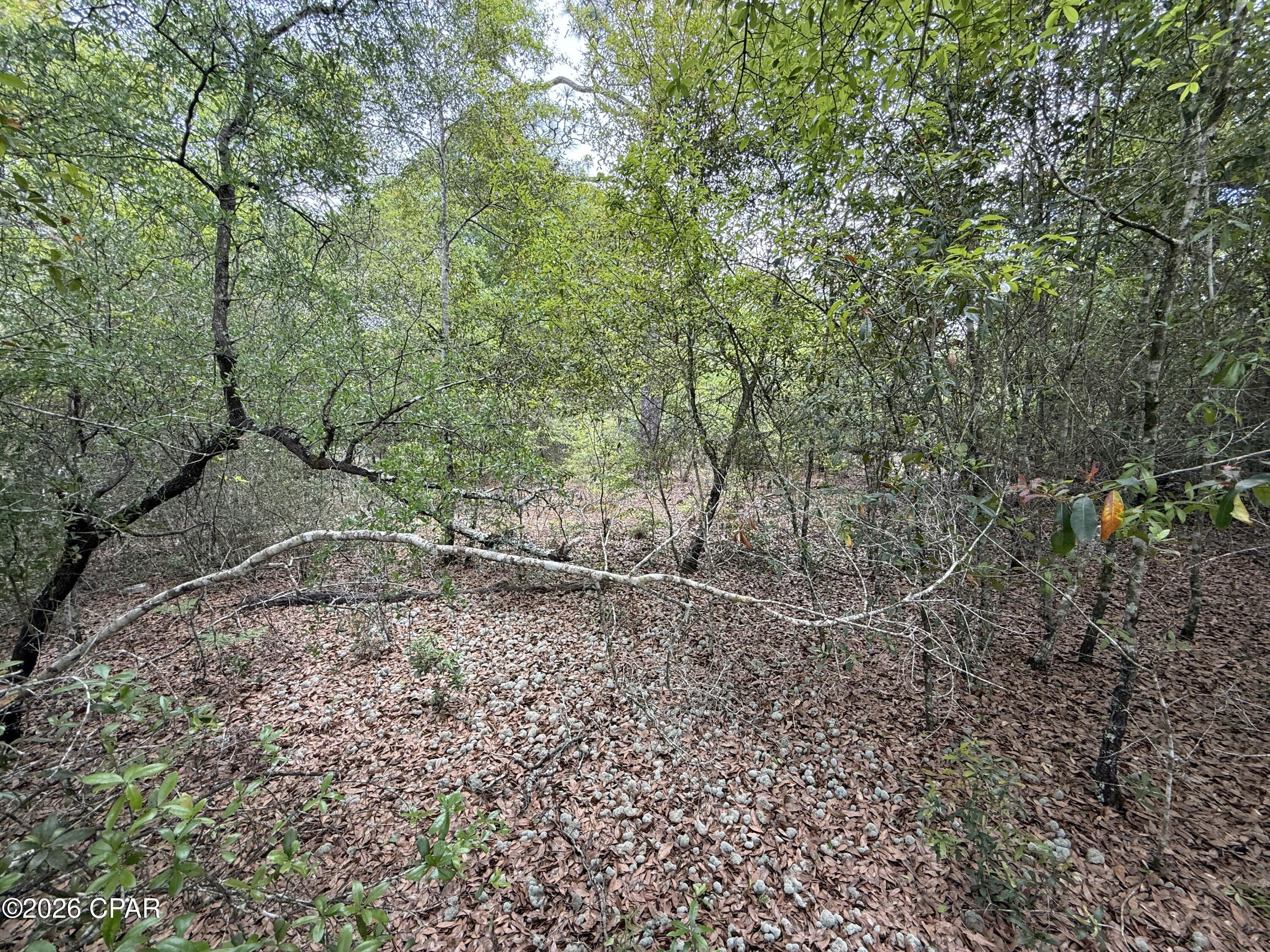 19678 Walsh Road Fountain, FL 32438 - Photo 13 of 17
