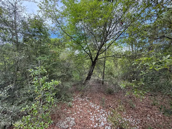 $59,000 | 19678 Walsh Road, Fountain, FL 32438