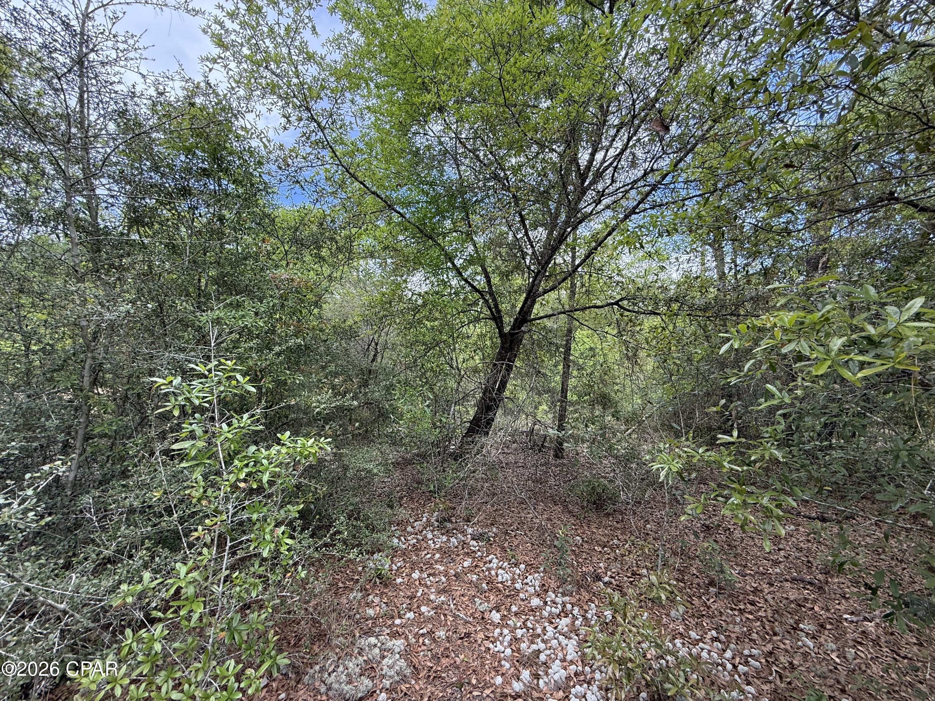 19678 Walsh Road Fountain, FL 32438 - Photo 15 of 17