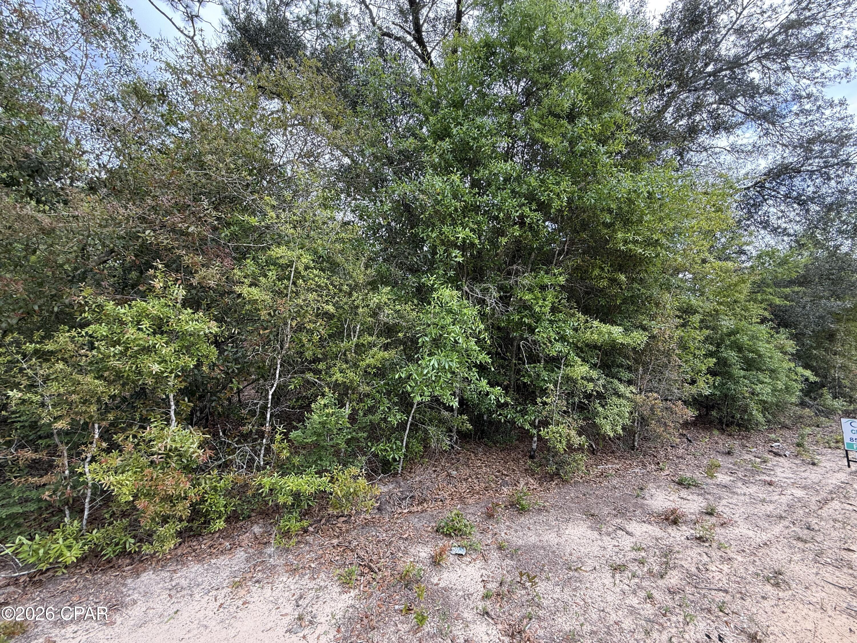 19678 Walsh Road Fountain, FL 32438 - Photo 16 of 17