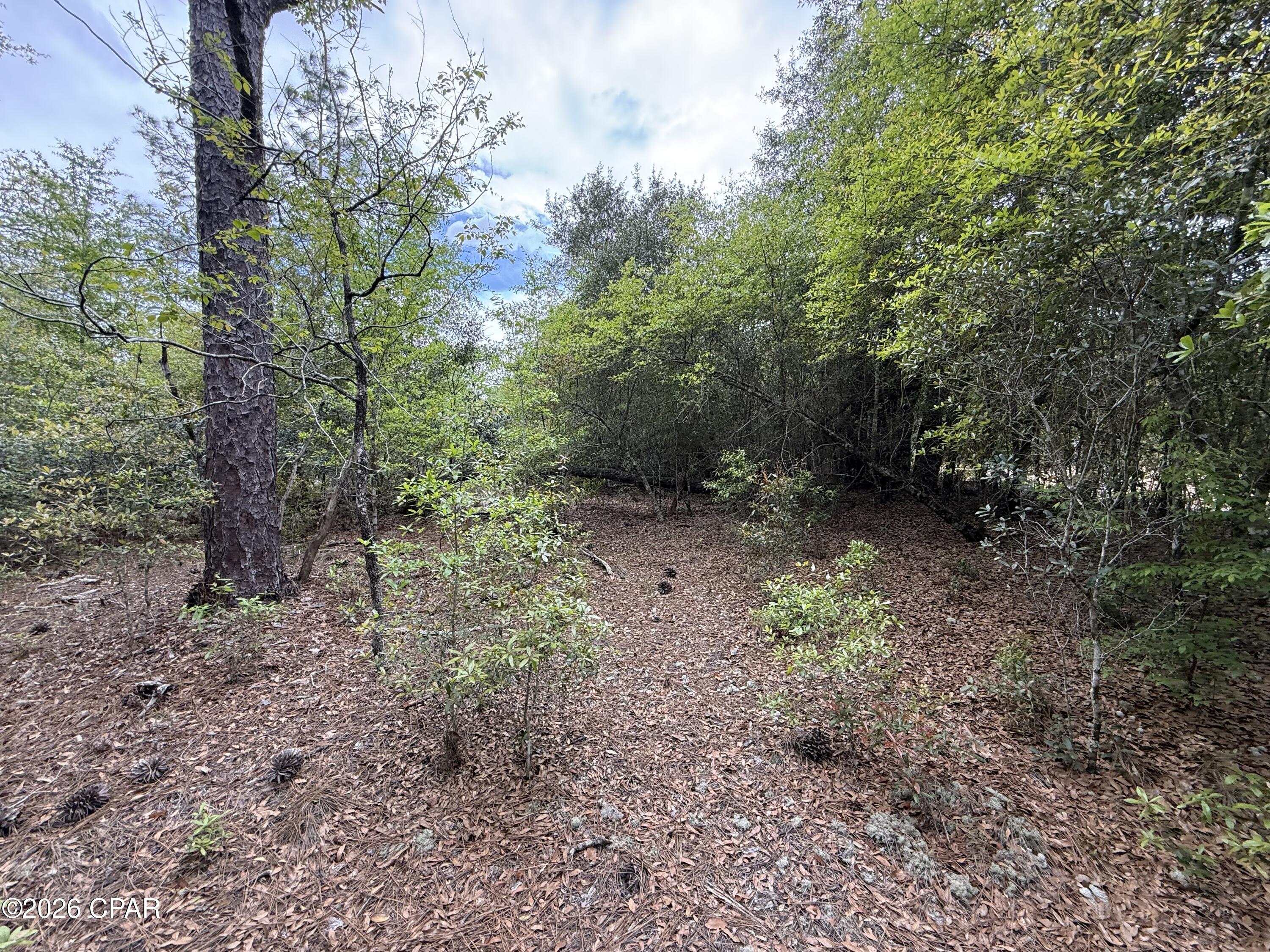 19678 Walsh Road Fountain, FL 32438 - Photo 2 of 17