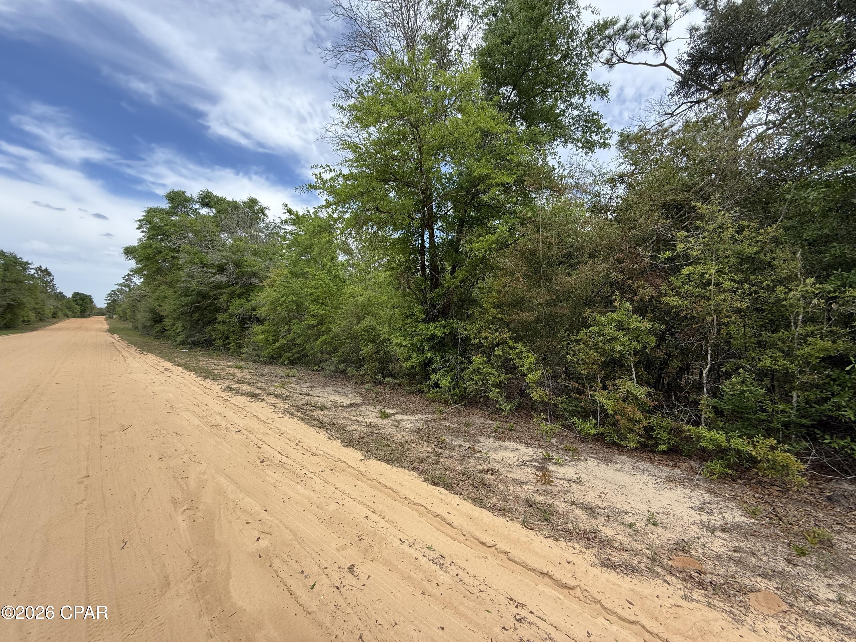 19678 Walsh Road Fountain, FL 32438 - Photo 3 of 17