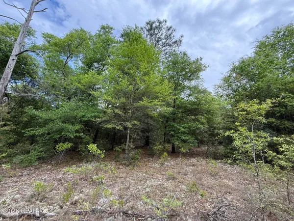 $59,000 | 19678 Walsh Road, Fountain, FL 32438