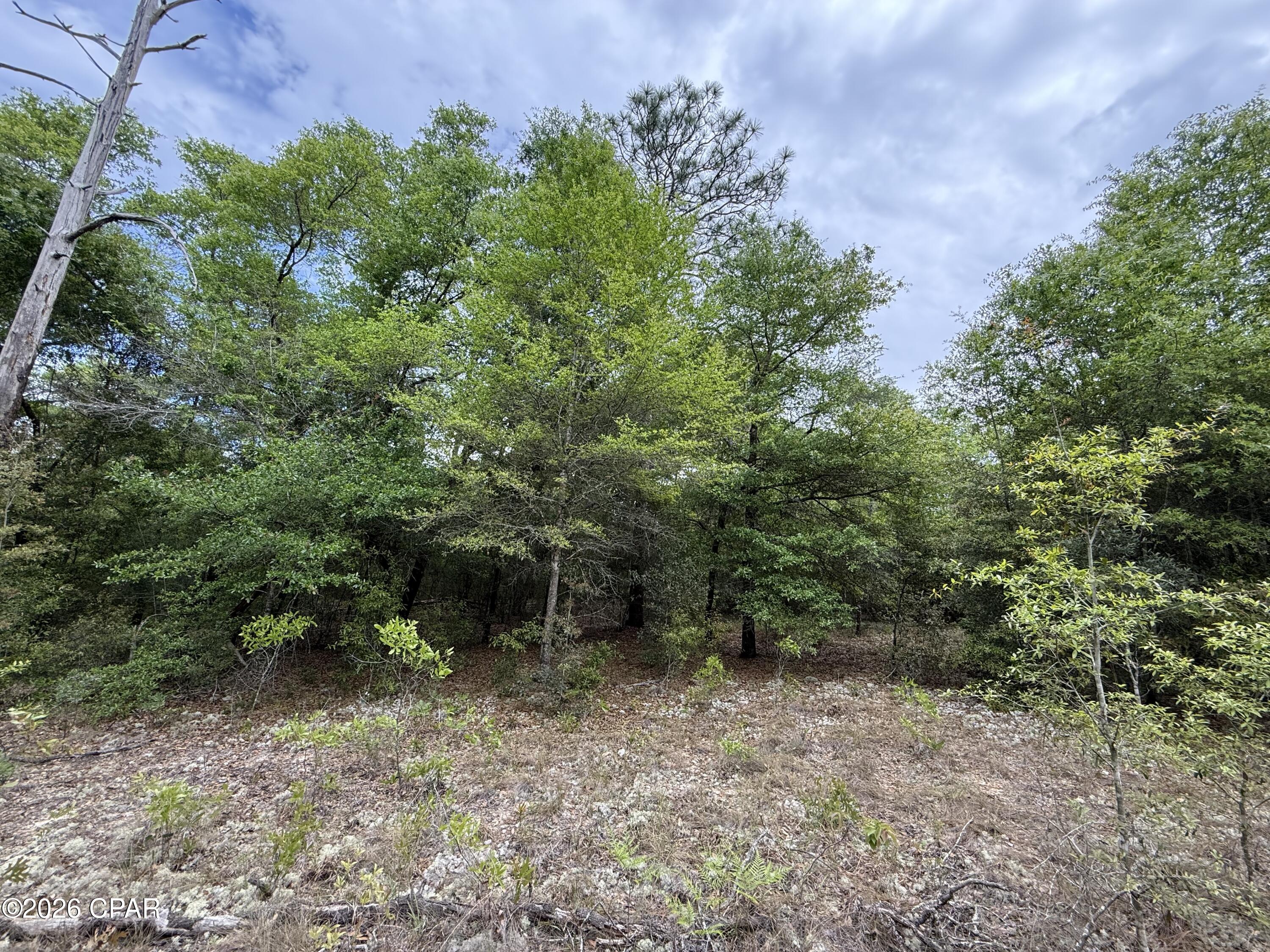 19678 Walsh Road Fountain, FL 32438 - Photo 4 of 17