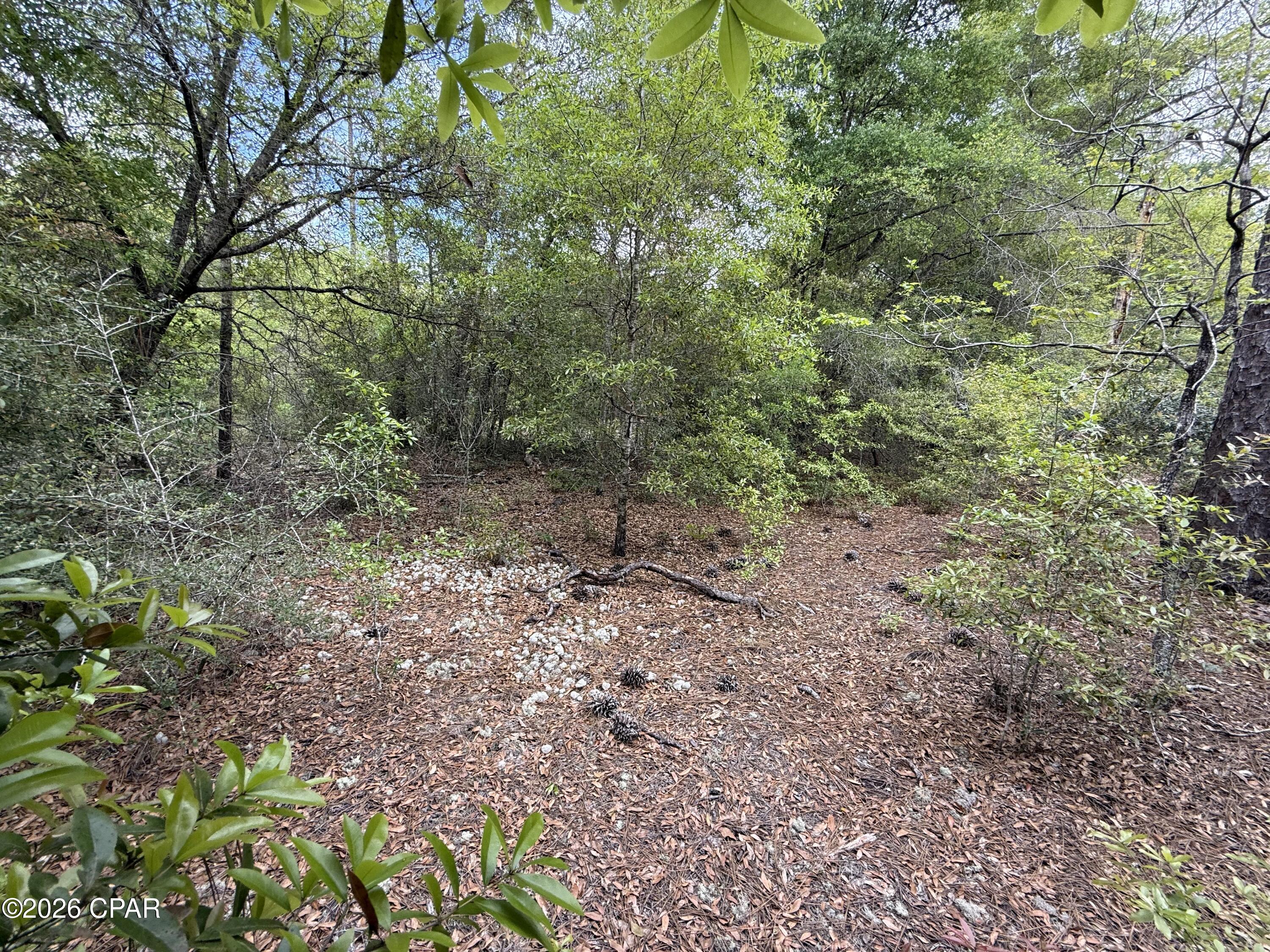 19678 Walsh Road Fountain, FL 32438 - Photo 5 of 17