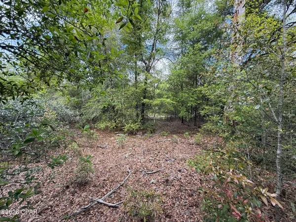 $59,000 | 19678 Walsh Road, Fountain, FL 32438