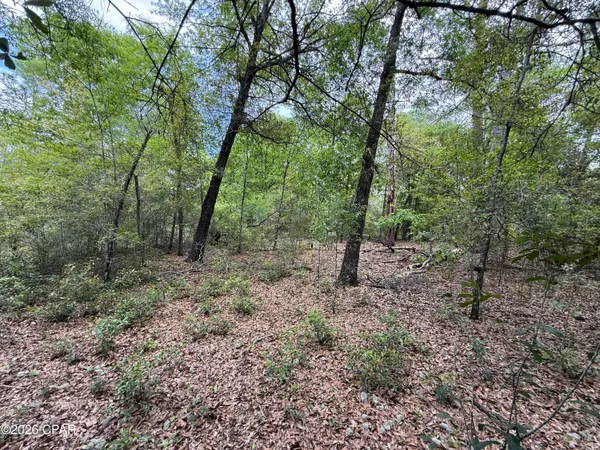 $59,000 | 19678 Walsh Road, Fountain, FL 32438