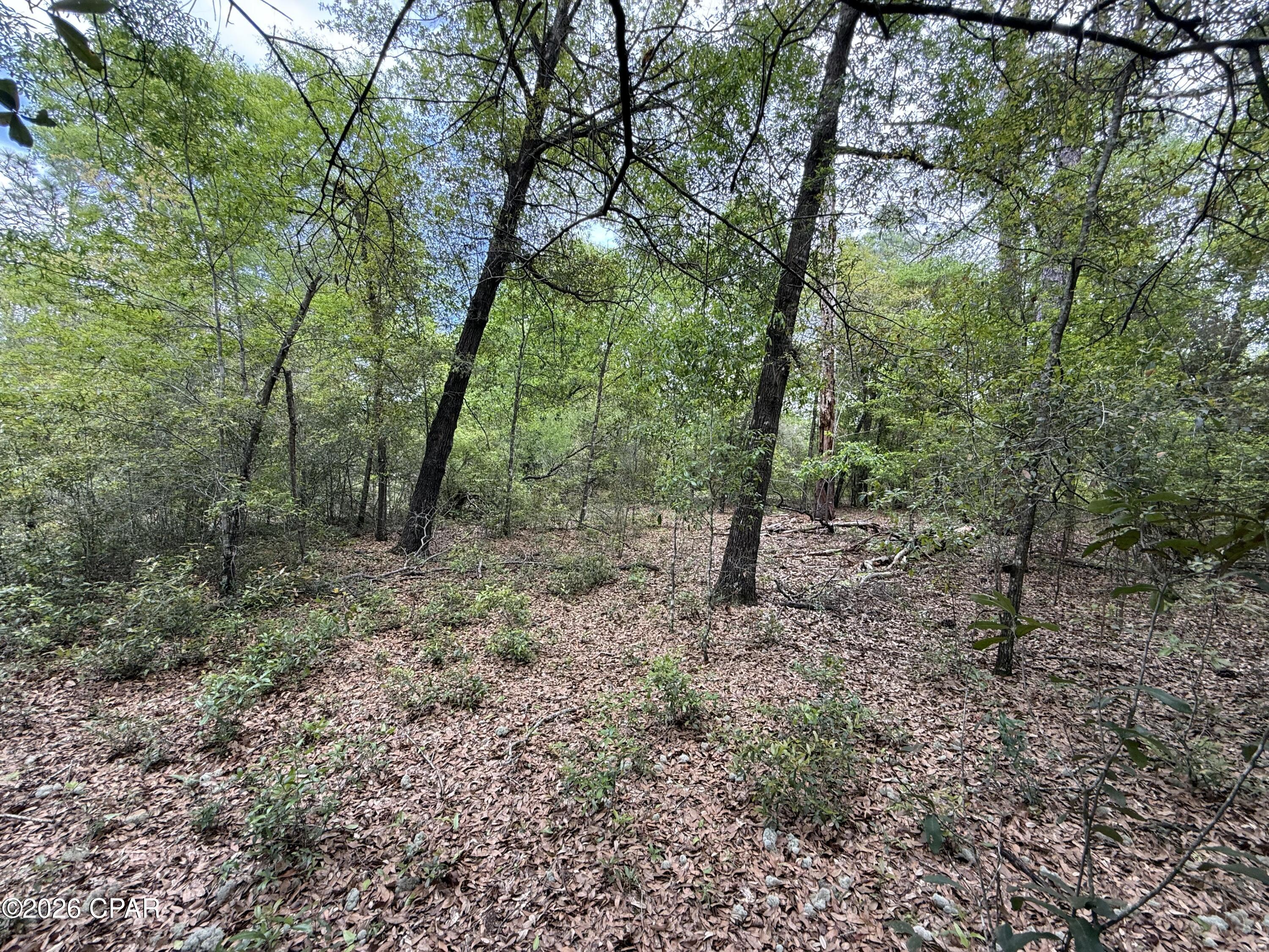 19678 Walsh Road Fountain, FL 32438 - Photo 7 of 17