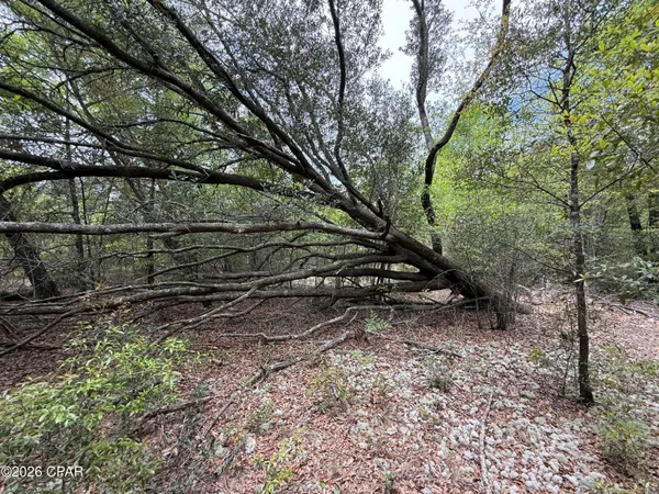 $59,000 | 19678 Walsh Road, Fountain, FL 32438