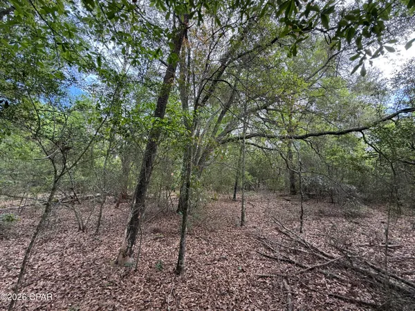 $59,000 | 19678 Walsh Road, Fountain, FL 32438
